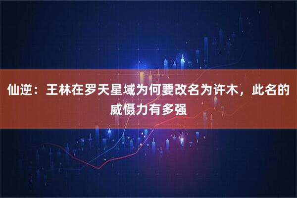 仙逆：王林在罗天星域为何要改名为许木，此名的威慑力有多强