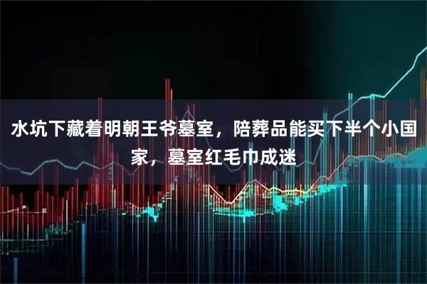 水坑下藏着明朝王爷墓室，陪葬品能买下半个小国家，墓室红毛巾成迷