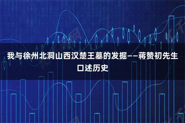 我与徐州北洞山西汉楚王墓的发掘——蒋赞初先生口述历史