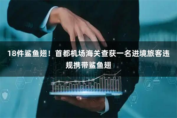 18件鲨鱼翅！首都机场海关查获一名进境旅客违规携带鲨鱼翅