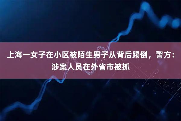 上海一女子在小区被陌生男子从背后踢倒，警方：涉案人员在外省市被抓