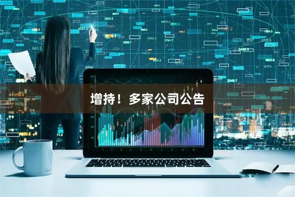 增持！多家公司公告
